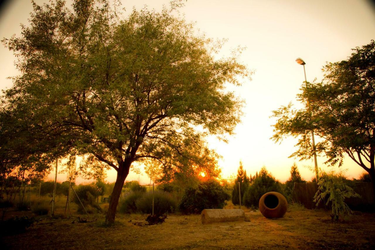 Casas De Los Pinos Las Candelas מראה חיצוני תמונה